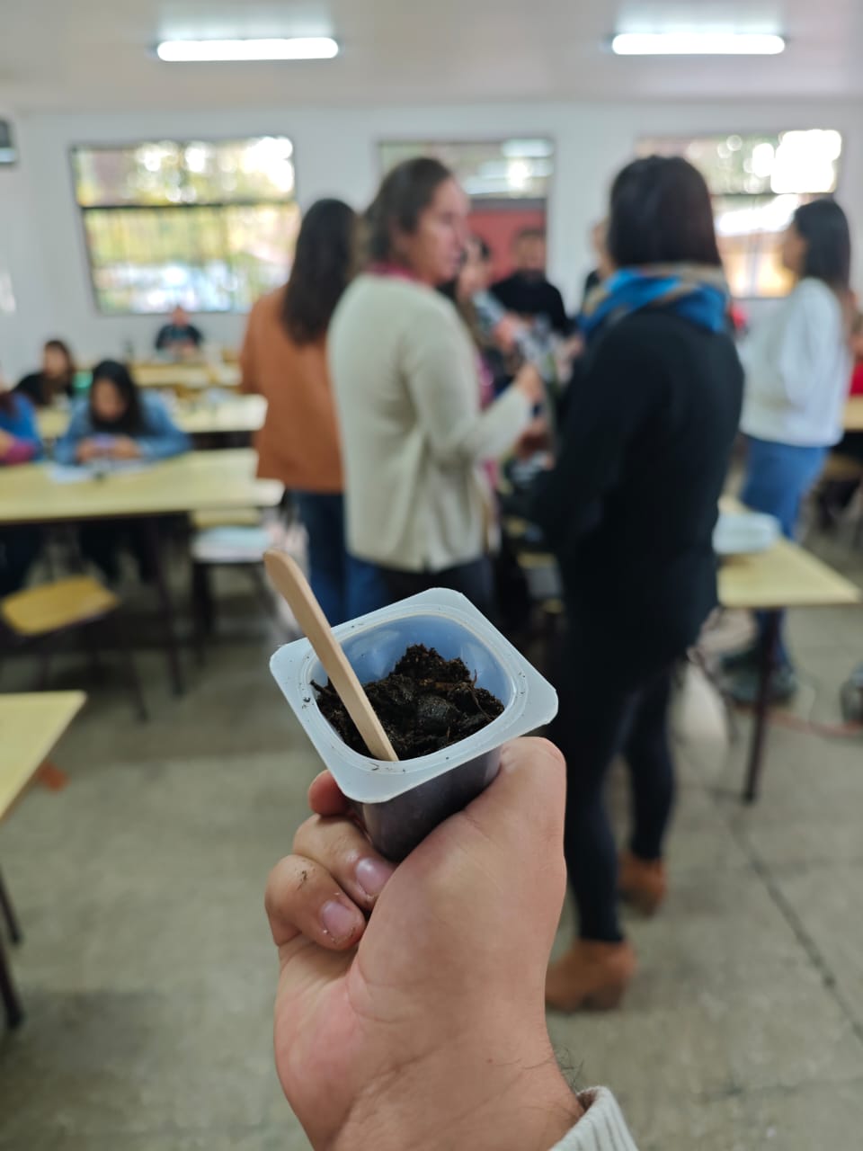 Germinadores ecológicos terminados